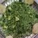 Falguni Shah's cooksnap of when they made ગ્રીન પુલાવ(green pulav recipe in Gujarati).