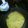 El cooksnap de Puro3 cuando hizo Tortitas americanas (pancakes) de colores.