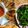 Nguyễn Hoàng Yến 's cooksnap of when they made Bún chả giò đơn giản.