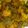 Lavina Rochwani's cooksnap of when they made Aalu bhindi.