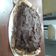 Cooksnap dari Ari Wita Pinem untuk resep Chocolate cake / spongecake coklat