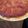 El cooksnap de Lorena cuando hizo Torta de manzana.