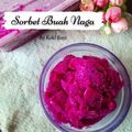 Cooksnap dari Koki Bayi 🍭 untuk resep 101.Sorbet Buah Naga