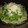 El cooksnap de Lady Marmalade cuando hizo Templado de tallarines con lechuga en GME, F y G y tradicional.