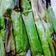 Cooksnap dari Santi untuk resep Otak otak ikan