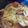 lee2's cooksnap of when they made Pierogi, cabbage and kielbasa bake.