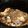 hbrewer's cooksnap of when they made slow cooker boneless turkey breast.