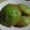 Cooksnap dari Shafa's Kitchen untuk resep Cucur Pandan