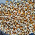 FatyYarabba's cooksnap of when they made Sugar popcorn.