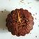 Cooksnap dari Dhiwi untuk resep Choco Muffin, No mixer, No Bp & Sp