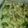 Žilvinas's cooksnap of when they made Creamy Chicken, Broccoli & Cauliflower Bake (LCHF).