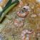 El cooksnap de Mar JJ cuando hizo Arroz integral a banda con gambas y espárragos.