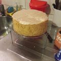El cooksnap de Gisela Adam cuando hizo Bizcochuelo básico sin TACC.