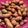 LadybugDiva's cooksnap of when they made Two Yankees Boiled Peanuts.