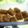 Cooksnap dari Enny Luthfiani untuk resep Chicken Nugget homemade