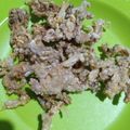 Cooksnap dari suti astuti untuk resep Kripik ceker