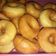 Cooksnap dari Sari Surya Puspita untuk resep Eggless Donat empukkk tahan lama👍🏻👍🏻👍🏻