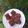 Cooksnap dari Giovanni Euodia untuk resep Bolu Kukus Coklat Anti Bantat