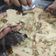Cooksnap Maisarah Mamat semasa beliau membuat Mushroom Tortilla Pizza.