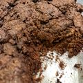 El cooksnap de Teresa cuando hizo Postre de chocolate en microondas.