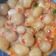 Cooksnap dari Dona Febi Rosalina untuk resep Bacil