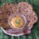 Jyoti Shah's cooksnap of when they made દૂધી ના થેપલા (Dudhi Thepla Recipe In Gujarati).