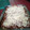 Cooksnap dari Nursaadah Turijin untuk resep Corned Beef Spaghetti