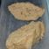 El cooksnap de Romina Guzman cuando hizo Pan para sándwich saludable en microondas Listo en 2 minutos !.