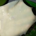 Cooksnap dari Sartini untuk resep 46.2020.Kulit Dimsum/Siomay Lembut & Lentur