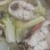 Hua Lai 的 簡單的紅魽鮮魚湯 cooksnap