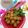 Cooksnap dari Dapoer NNN str5 untuk resep Cipec (cilok bumbu pecel)