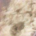 Alfredo Ryan's cooksnap of when they made Jerk chicken.