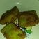 Cooksnap dari Unda Rere untuk resep Nugget Ayam Pokcoy