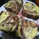 Cooksnap dari Bonita Jennifer untuk resep Brownies Kentang keju