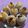 Cooksnap dari Yayuk Sulistyowati untuk resep Bomboloni Cokelat