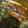 Cooksnap dari Ira Camelia untuk resep Ikan cue tumis cabe hijau