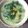 Cooksnap dari desi utami untuk resep Bobor Bayam 