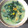 Cooksnap dari desi utami untuk resep Bobor Bayam 
