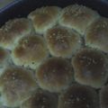 صورة من Ayat Abdelsabor، شاركها بعد تجربة وصفة طريقة عمل خلية النحل بالجبنة البيضاء