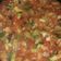 El cooksnap de Cecilia Gimenez cuando hizo Fideos con verduras.