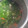 Cooksnap dari Dewi Andrian untuk resep Sayur Bening Temu Kunci
