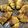 Cooksnap dari Tri Kusuma Sari untuk resep Classic Croissant