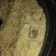 El cooksnap de Jose Miguel Talamante Gimenez cuando hizo Risotto de pollo.