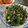 Andrea Yang 的 豆鼓炒龍鬚菜 cooksnap