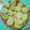 El cooksnap de rouse BV cuando hizo Galletitas con chispas de chocolate.