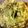 lady_xray's cooksnap of when they made Game Day GUACAMOLE!.