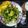 Rupali Deshpande's cooksnap of when they made झणझणीत हिरव्या वाटणाची साबुदाणा खिचडी (sabudana khichdi recipe in marathi).