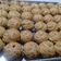 Cooksnap dari Suryanah untuk resep Kulit Soes