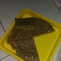 Cooksnap dari Riny Hidayat untuk resep Bolu Nutrijel *Megicom*