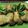 Cooksnap dari Indira Sugito untuk resep Misoa Goreng Ayam Wortel+Foto step by step ^^